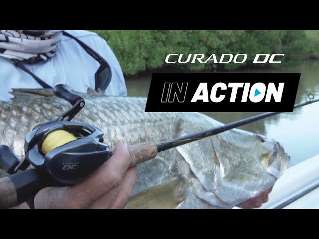 IN ACTION: Shimano Curado DC 