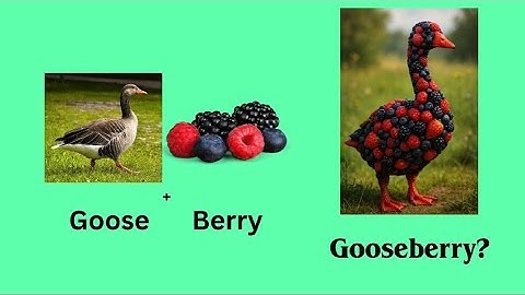 36+ Literal Vs Reality English Compound Words