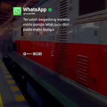 Story Wa Keren !!! Mata Panda - Mata Buaya