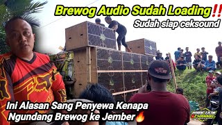 Brewog Sudah Loadingini Alasan Penyewa Kenapa Ngundang Brewog Ke Tambakrejo Sumber Agung Jember