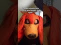 #ppt #dogday #fictionkin #poppyplaytime #poppyplaytimechapter3