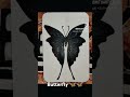 subscribe my channel 💫🙏 #shortsvideo #trendingshorts #trending #butterfly #art