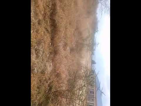 A Walk Around Machakos Academy Road MercyNguku The World Traveller Worshipsongrewritten