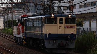 [相模貨物常駐機交換]EF65-2084号機牽引＋ムド     HD300-10号機が大船駅を通過！8月20日16:15      単9852ﾚ