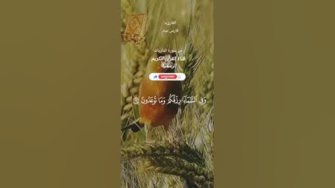 #ماتيسر_من سورة الذاريات بصوت القارئ الشيخ فارس عباد قناة القرآن الكريم الرسمية