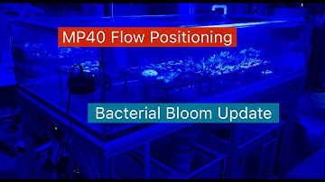 Bacterial Bloom Update / VorTech MP40 Flow Configuration