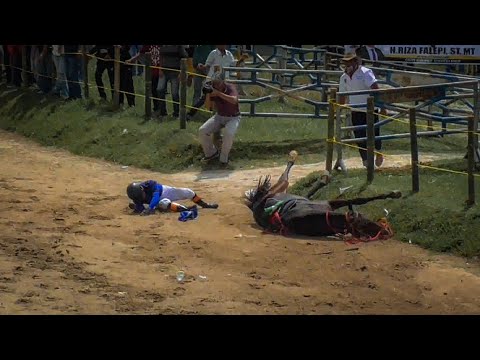 Video: Mencegah Kecelakaan Dalam Perlumbaan Kuda