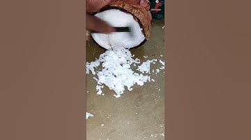 coconut grating skills | coconut scraping skills