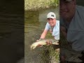 Big fish