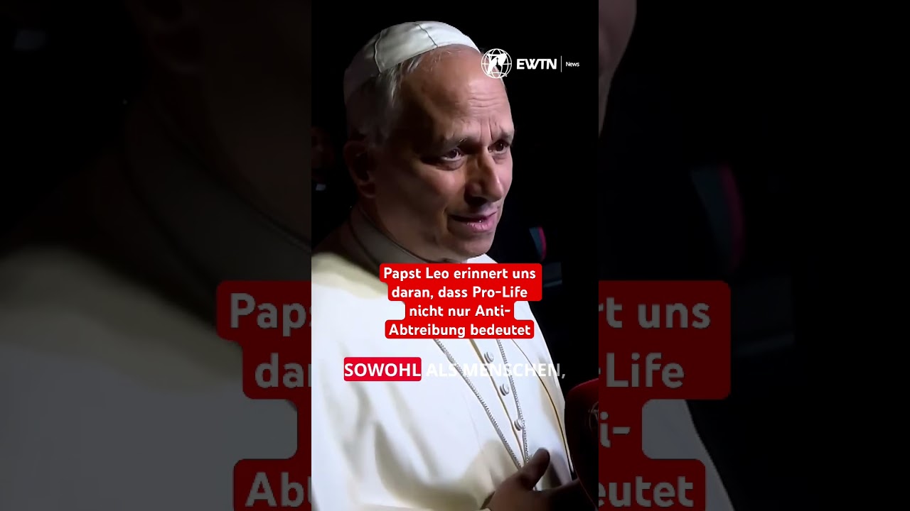 Papst Leo XIV. über Abtreibung und Todesstrafe 