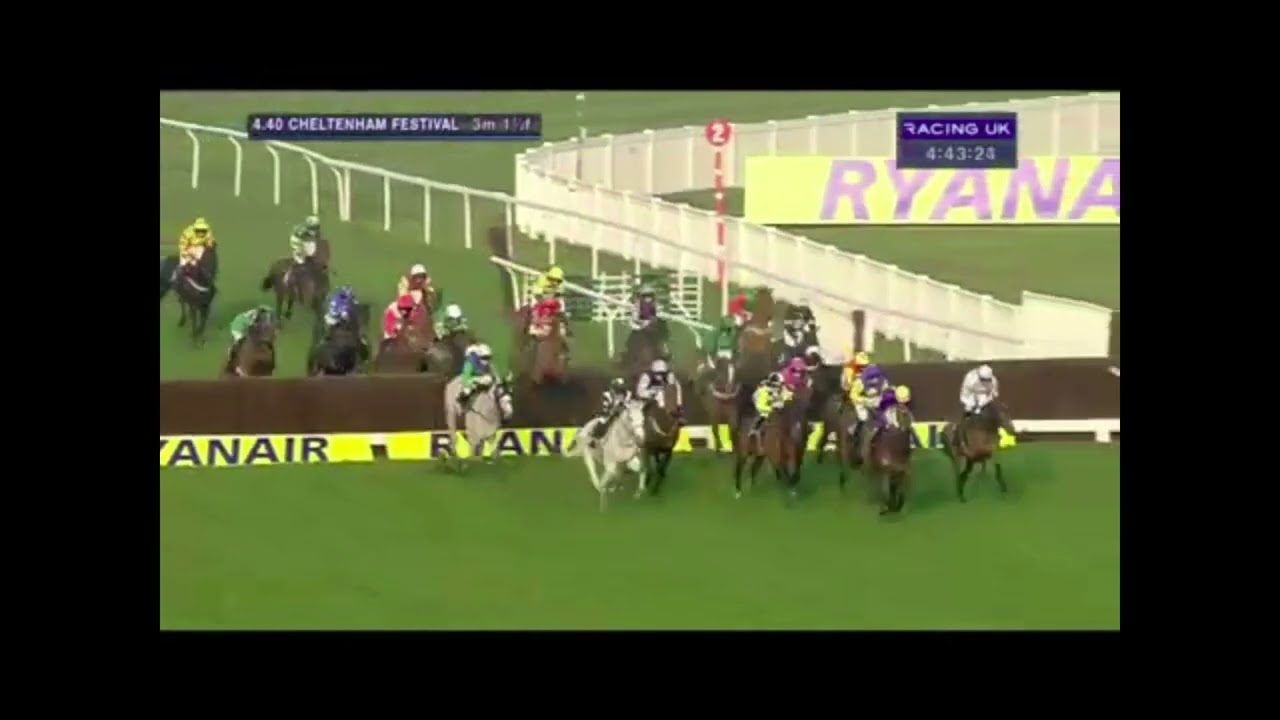2014 Fulke Walwyn Kim Muir Challenge Cup - Cheltenham Festival