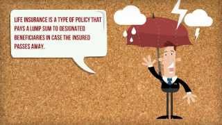 Insurance Guide Video