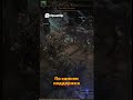 Ведьма-Инферналистка: Убиваем Босса за 3 Секунды #pathofexile2 #poe2