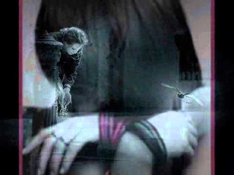 مخبي عليا اروى