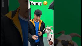 Funny Times With Animals