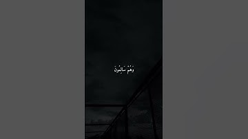 ماهر المعيقلي تلاوة خاشعة ومريحة || تلاوة قصيرة رائعة 🤍😍