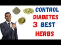3 Best Herbs To control Diabetes | 3 Best Ayurvedic Herbs For Diabetes - Dr. Vivek Joshi