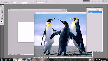 01 Introducing Adobe Premiere Pro CS5: Basic Video Editing Tutorial