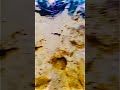 Https Youtube Com Linglingpydec Si E WPpjAsxOHfm0nd Https Youtube Com Linglingpydec Si E WPpjAsxOHfm0nd