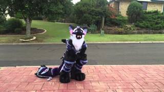 Spirit the Angel Dragon
