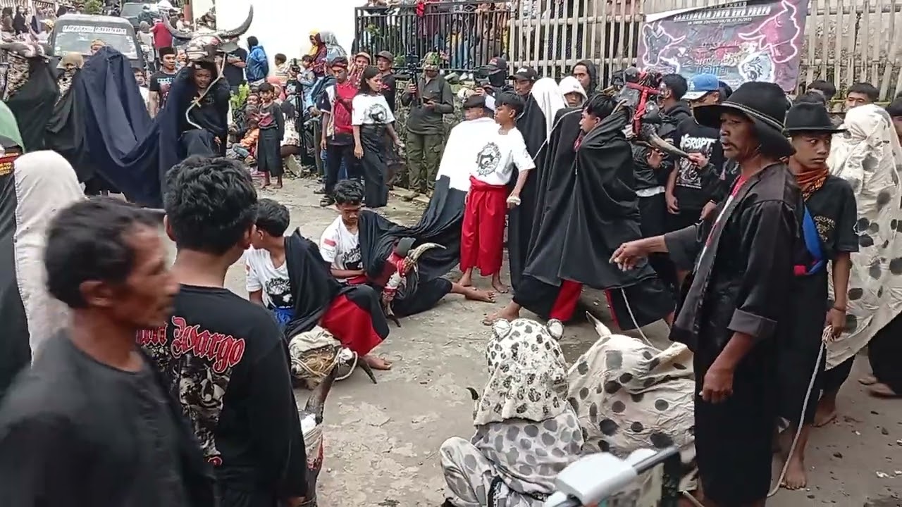 kirab banteng kalangan pujon