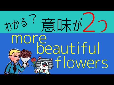 「もっときれいな花」ともう一つの意味は？【moreの謎】