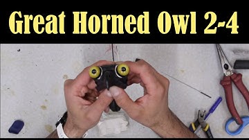 Great Horned Owl.... Part 2,  Neck, Head and eyes.