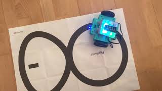 Flip robot line tracing