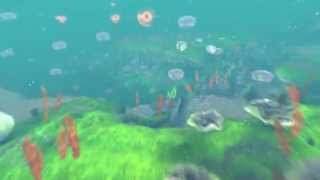 2115 Video