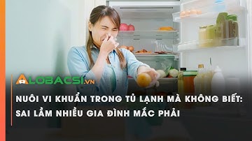 Nuôi vi khuẩn trong tủ lạnh mà không biết: Sai lầm nhiều gia đình mắc phải | Video AloBacsi