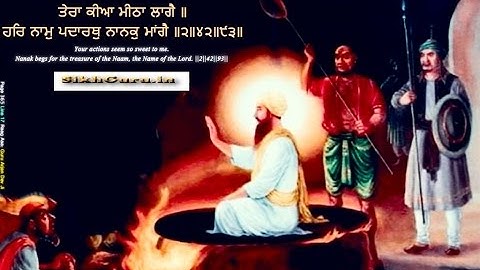 Guru Arjan Devji Sahidi Divas ( गुरु अर्जन देवजी शहीदी दिवस ) || Rishi Darshan ||