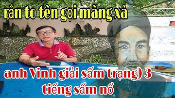 P23) Căng quá (anh Vinh giải 3 tiếng sấm nổ) rắn to tên gọi mãng xà .
