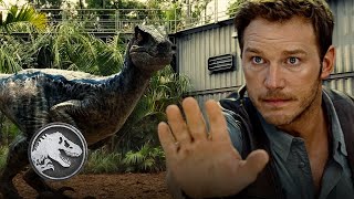 Jurassic World | Training Velociraptors