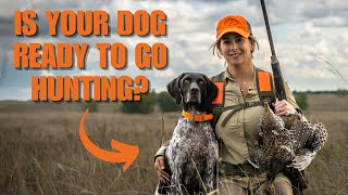 3 Things Your Dog Needs To Know Before Hunting Season