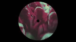 LNRT - The Cigarette ♫