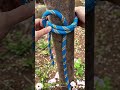 Master the Perfect Bowline Knot for Secure Outdoor Adventures