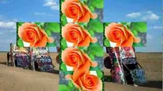 3D Transformations eye-popping transitions that twist, fly, and bounce - NewBlueFX