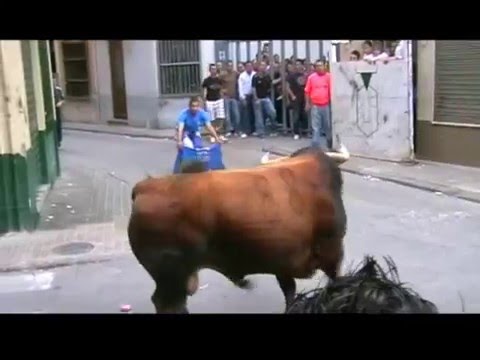 TOROS CERRILES DE CEBADA GAGO I OSBORNE DE ALMASSO...