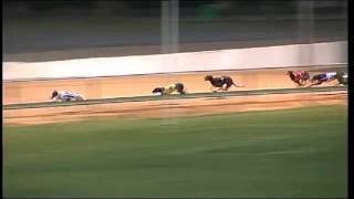 Gawler-08032015-Race-8