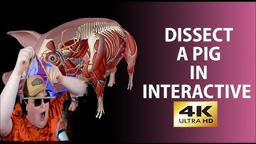 Kino Casino Dissect The Felt Already Forming Around The DSP Redemption Arc 🤣