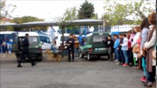 Demonstração da GNR