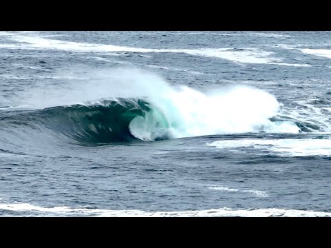 ROGUE SURF MISSION TO ATTEMPT A NEW WAVE