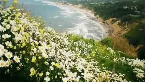 Adriano Celentano - Azzurro