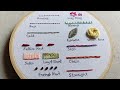 Hand embroidery for beginners  14 basic embroidery stitches by lets explore