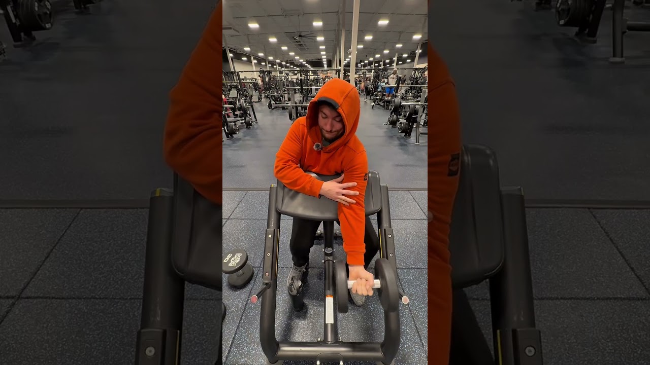 Bicep, shoulder, and triceps day at crunch fitness 