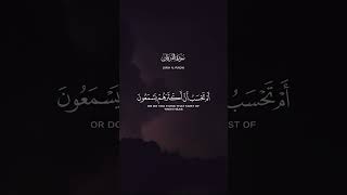 أرأيت من اتخذ إلهه هواه أفأنت تكون عليه وكيلا || القارىء خالد الجليل