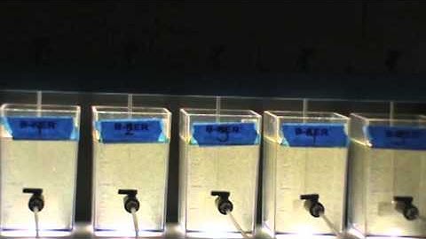 Conventional Jar Test