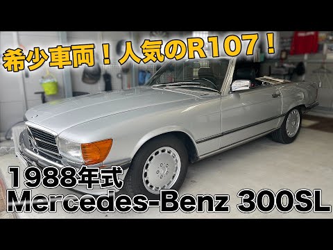 メルセデスベンツ　300SL メルセデス・ベンツ 300SL 製作日記-完成（2） | TAKEZOの