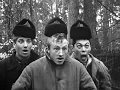 Видео . комедия Владимира Дощука Похитители бриллиантов (1984)