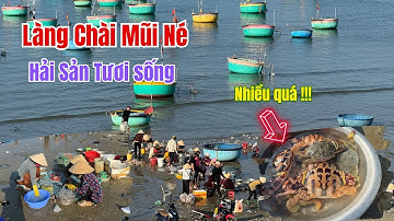 Sắc Màu Biển Cả: Hải Sản Tươi Sống hấp dẫn  Tại Làng Chài Mũi Né, Phan Thiết  ❤️  Phan Thiết Phố  🏝